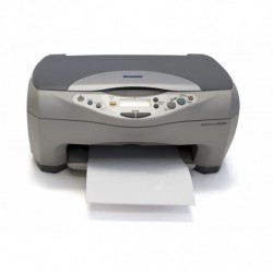 Epson13307
